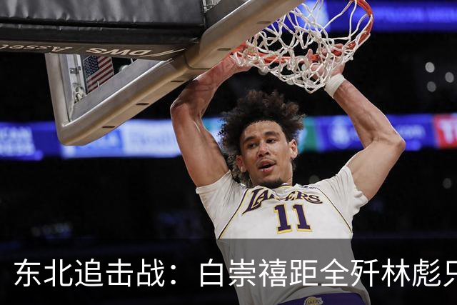 东北追击战：白崇禧距全歼林彪只差一道命令，历史差点被改写！