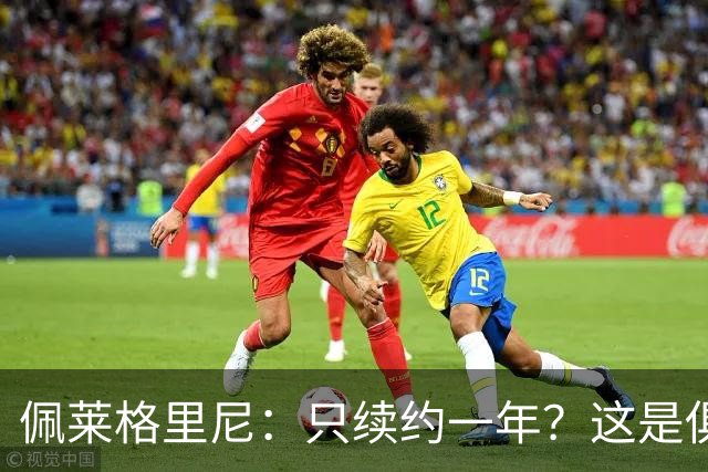 佩莱格里尼:只续约一年?这是俱乐部做出的决定,而我接受了