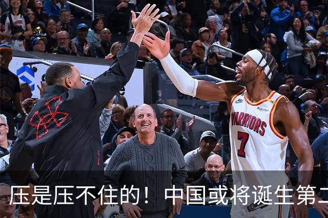 压是压不住的！中国或将诞生第二个华为