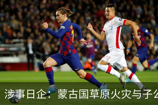 涉事日企：蒙古国草原火灾与子公司高管活动有关